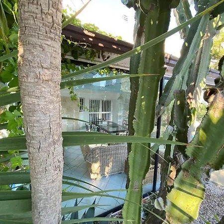 Divella Suites